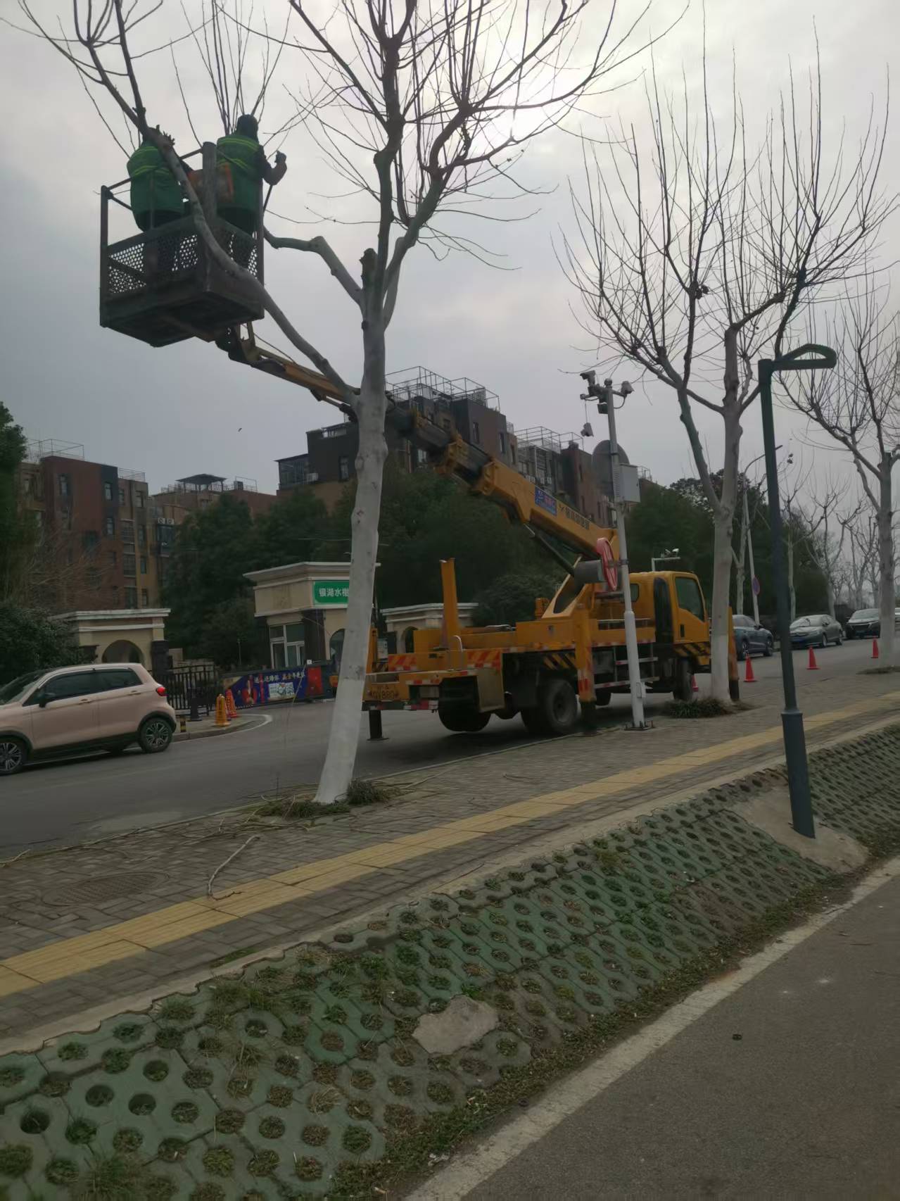 微信圖片_20250221160021.jpg 微信圖片_20250221160021.jpg